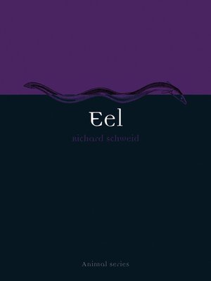 cover image of Eel